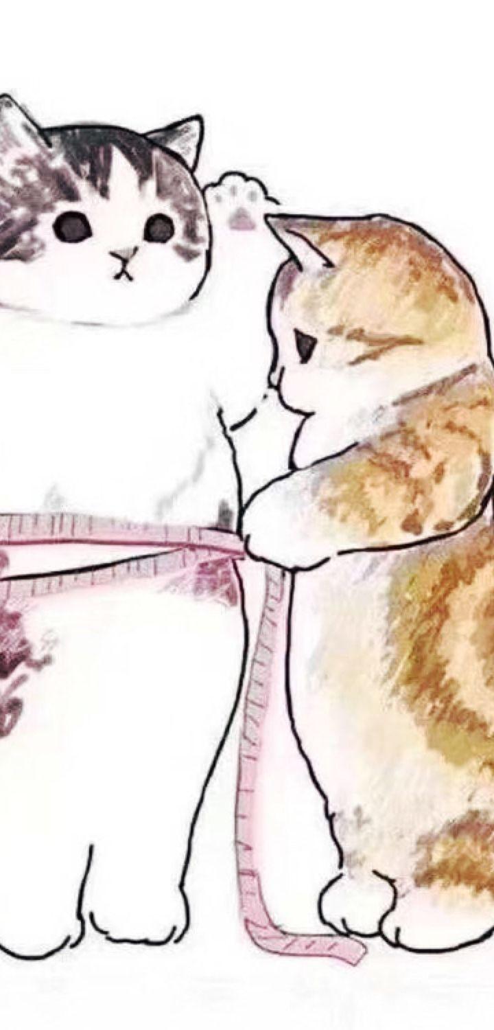 wildfieldhealth什么档次,wildfieldhealth性价比