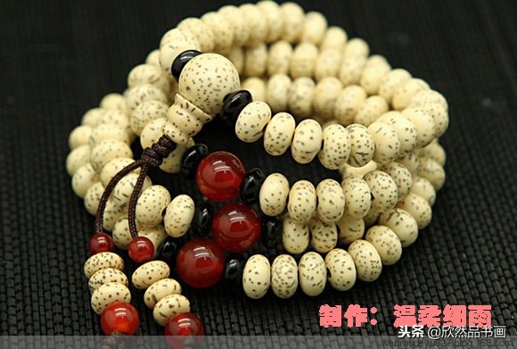 印度菩提子的种类,海南菩提子的种类