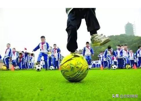 岳阳足球特点学校名单,岳阳市青少年学校