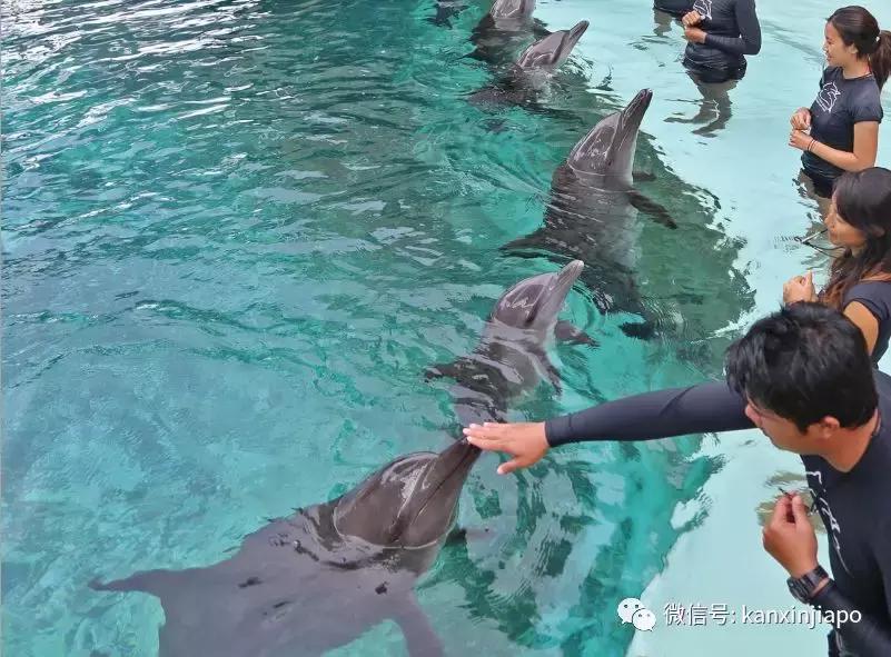 圣淘沙名胜世界完整版,圣淘沙旅游攻略地图大全