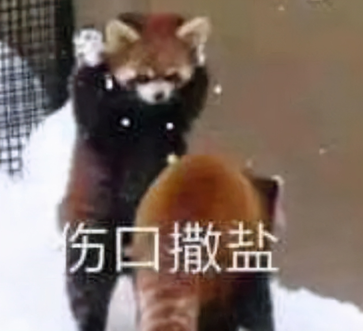 老东家送她出道，刚解散就解约反被爆料塌房瓜？