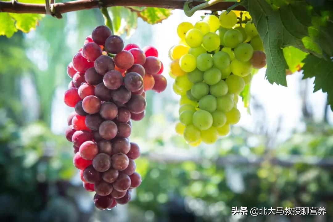 和葡萄很像但是很大的水果是什么,黑色的水果像葡萄一样的叫什么