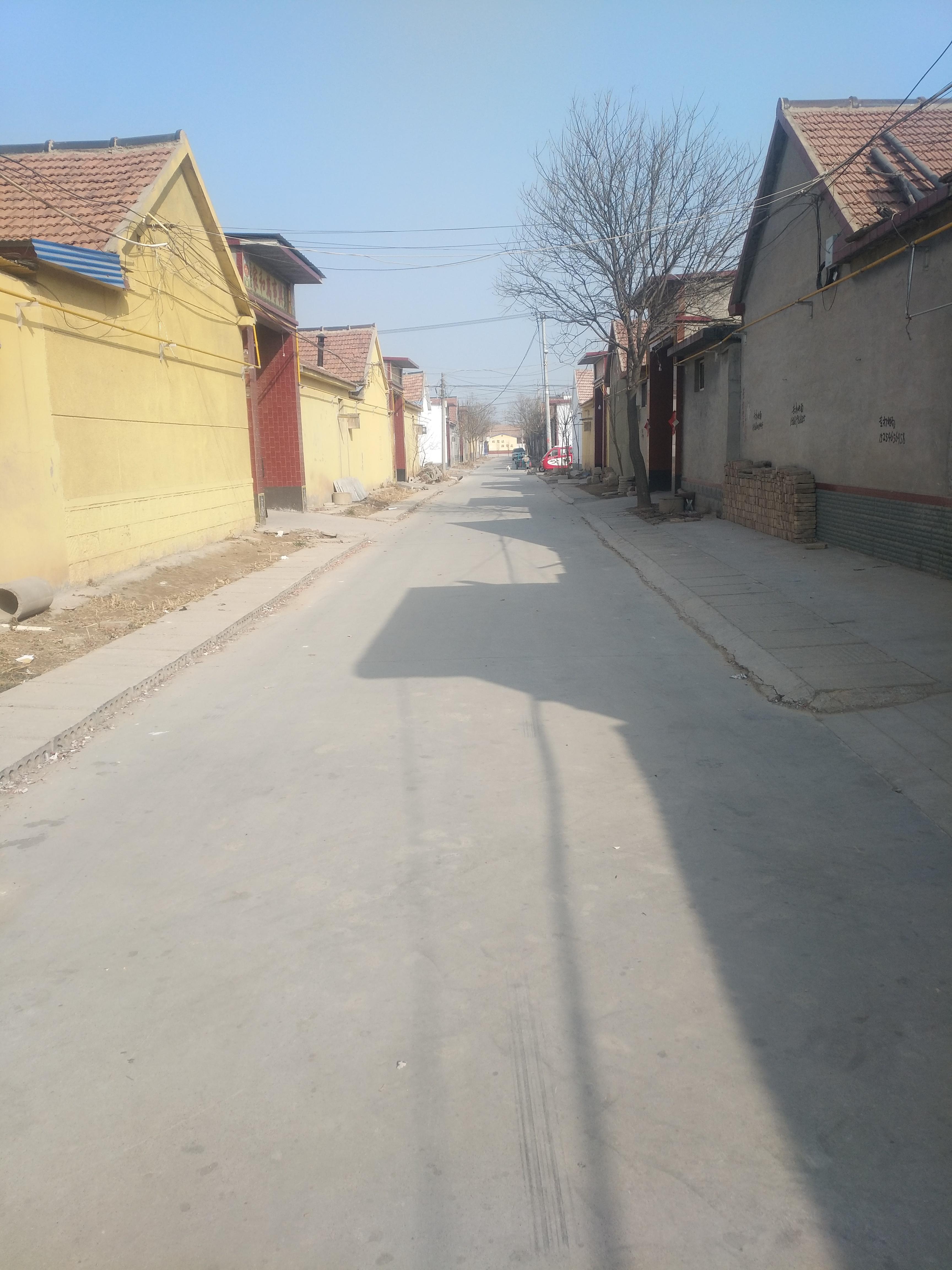 去医院打碎伤风医生判断吗,去医院打碎伤风一天24小时都行吗