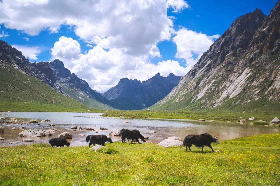 吐血整顿这10条精华自驾线路,吐血整顿平价精华全自用