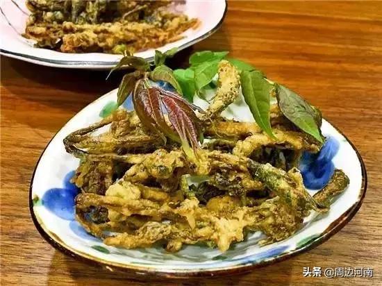 春季野菜大全这些野菜可以吃,春季能吃六种野菜讲解