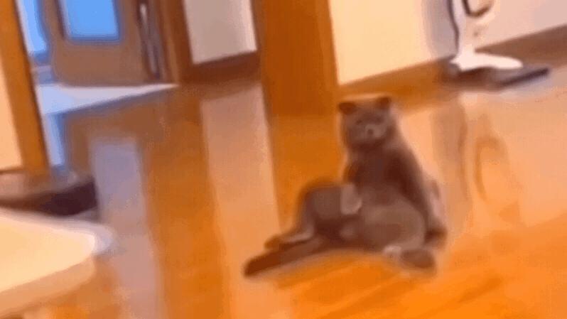 搞笑GIF:女朋友问我是什么，我说是洗衣粉，她怎么把我拉黑了？