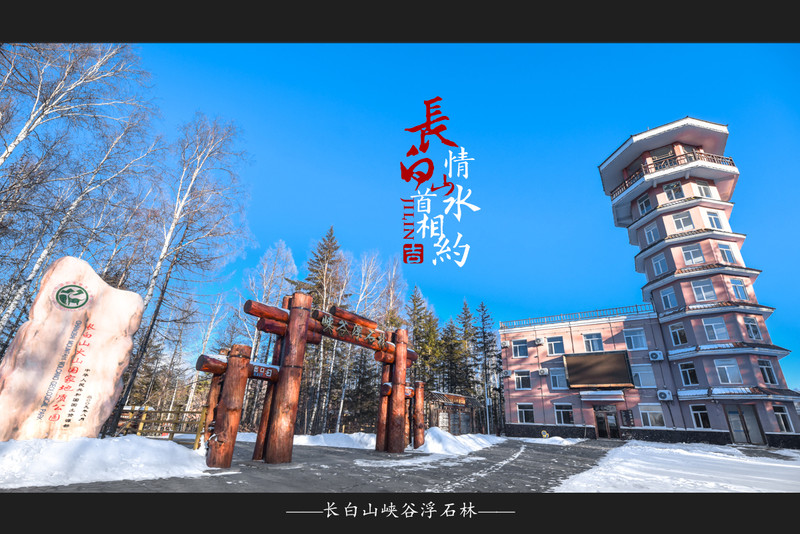 冰雪总动员简介,冰雪总动员