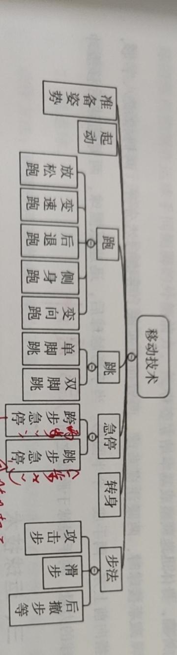 硬核篮球训练方法,篮球基本技术和战术