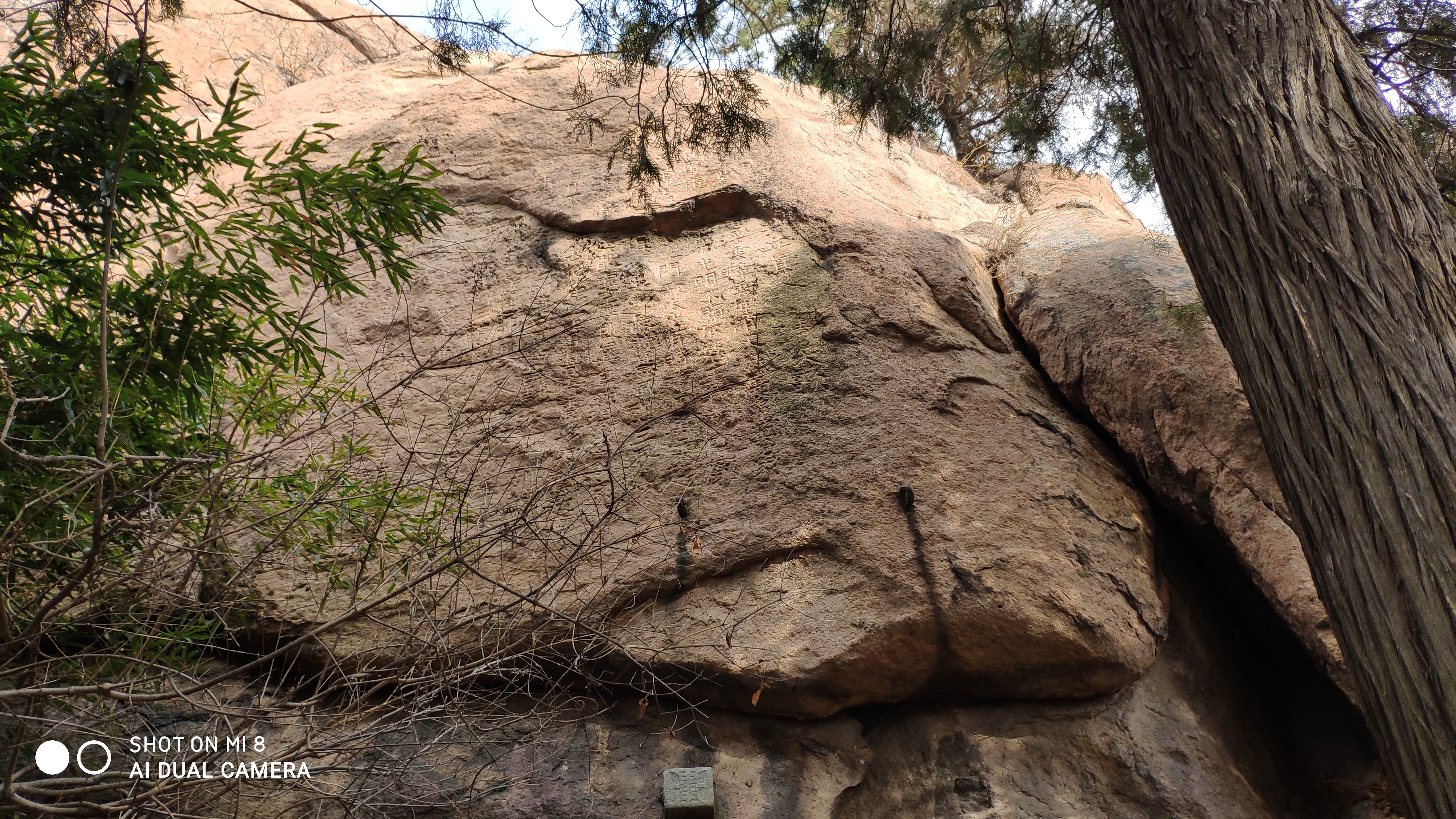 崂山水畔菜蔬鲜，黄石洞中书韵长
