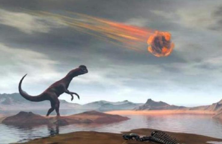 恐龙灭绝后过了多少年人类才诞生,恐龙灭绝到人类诞生全过程