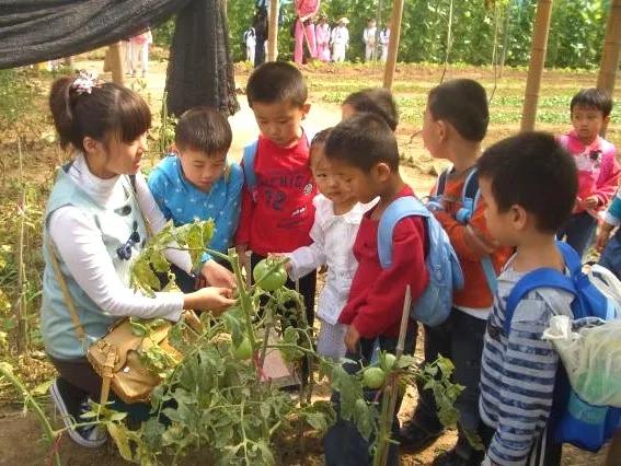 讲解学前教育专业,关于学前教育专业教程的总结