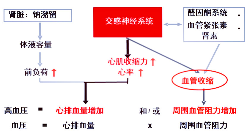 高血压吃着药血压反复升高咋回事,降压药对血管硬化有帮助吗