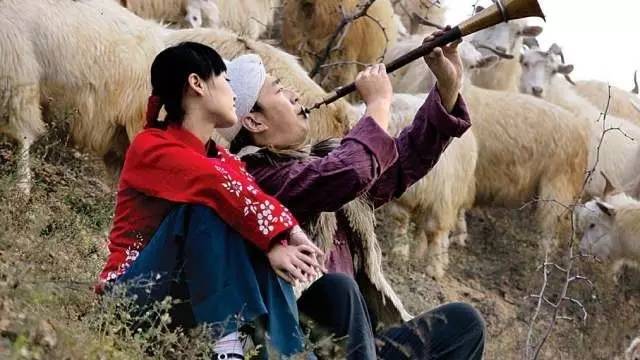 陕西省八大怪是哪八大怪图片,关中八大怪和陕西八大怪