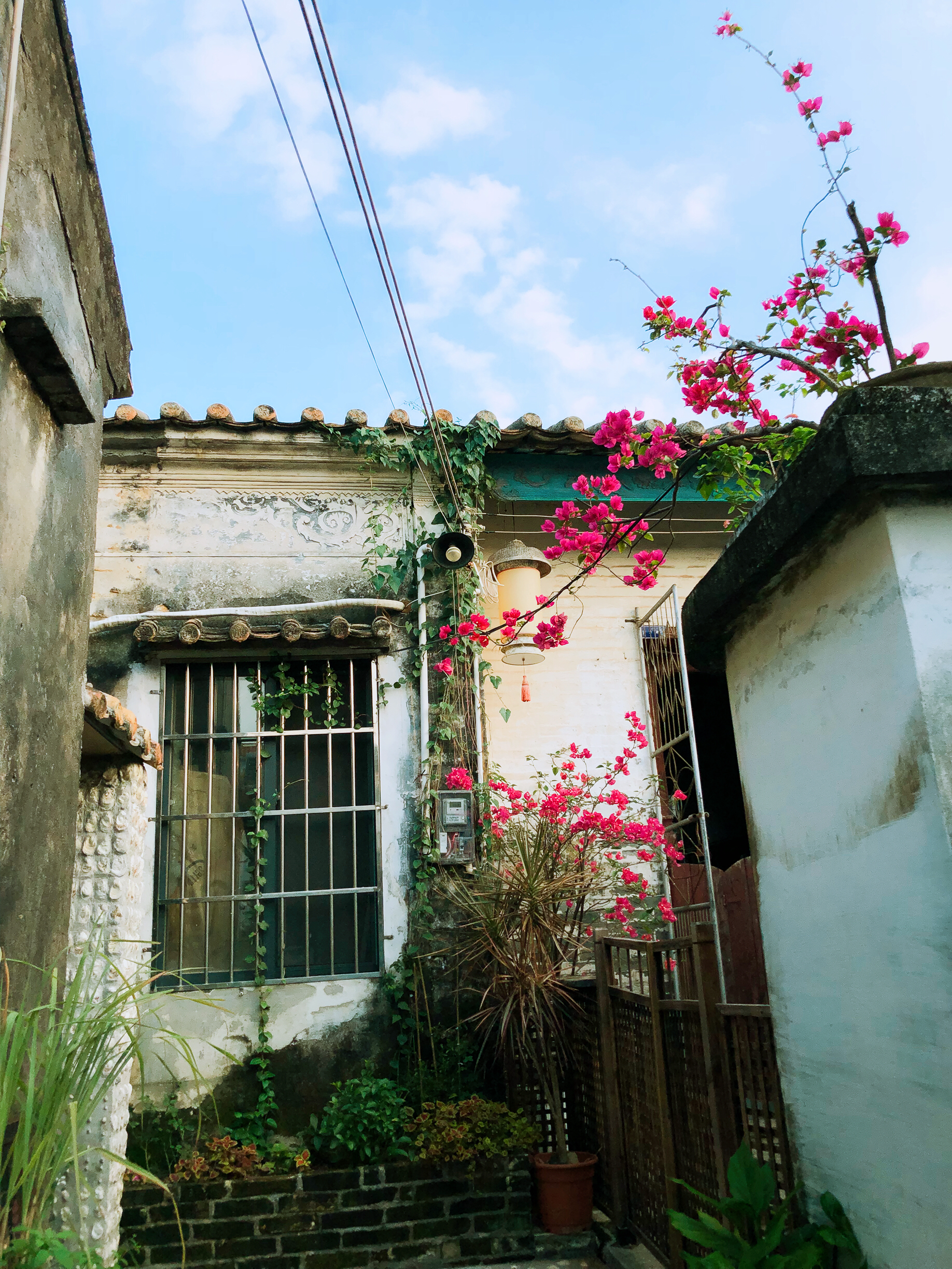 你眼中的珠海是什么样,外国眼中的珠海