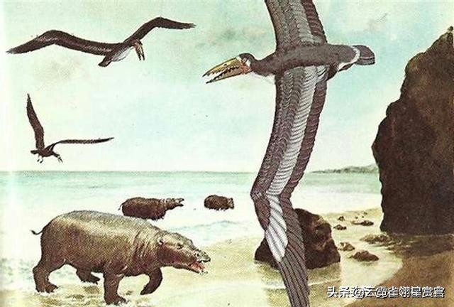 史前时期不会飞的巨鸟,十大最可怕巨型恐龙
