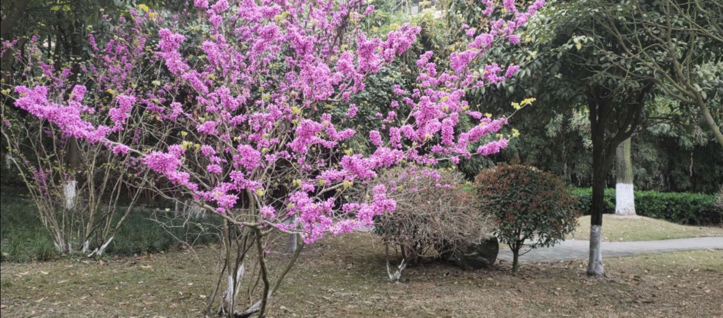 坐月子不是养身体而是废身体,有没有感觉坐月子像坐牢一样