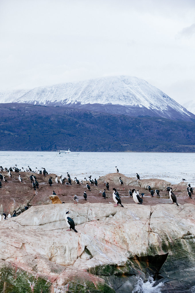 跟着电影游埃及,黎耀辉不如我们从头来过电影台词