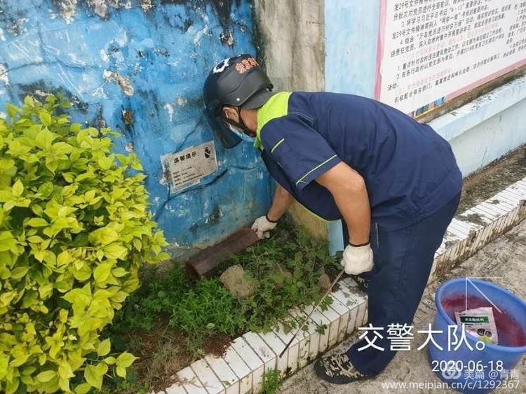 乐东县爱卫服务中心策划专业技术人员对县城各办公区和公共场所进行灭蚊防病除四害消杀