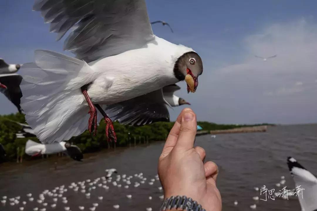 相机对焦技巧教程,相机对焦有哪些方法和技巧