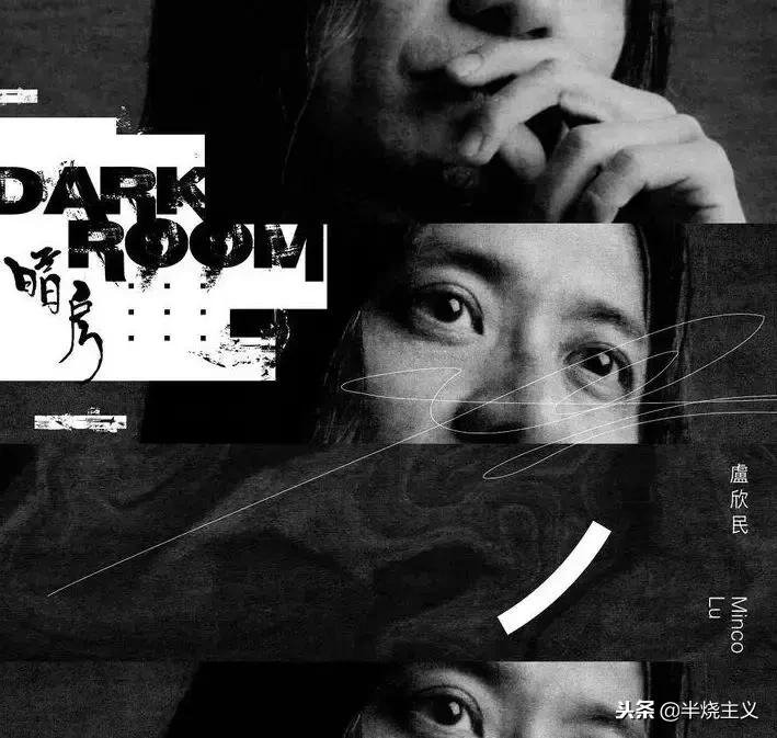 qdc变色龙vx联名款,qdc耳机变色龙v6