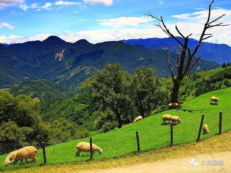 台湾清静农场在哪里,台湾桃园观光农场在哪里