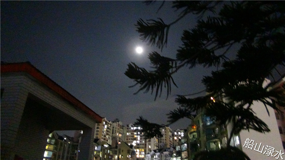 你是我心中最亮的星作文,照亮我的那颗星