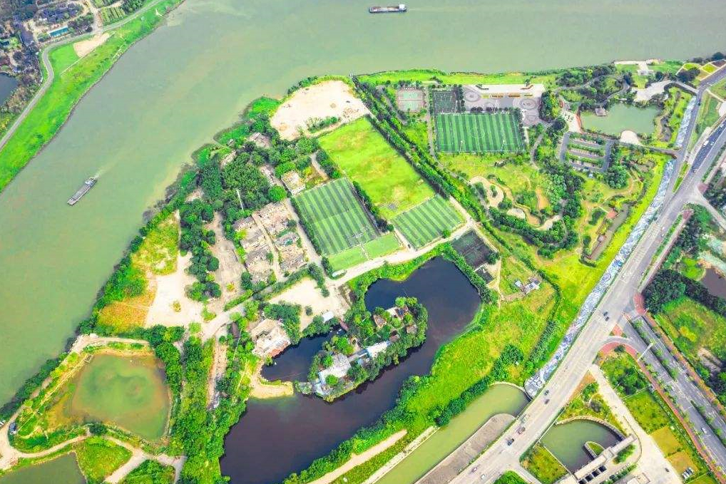 广东红树湾湿地公园,广东省红树林湿地公园