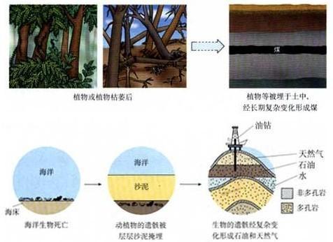 化学中考总复习12单元化学与生活,初中化学第十二单元知识点归纳