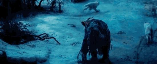 狗狗是如何驯化的,狗狗怎么被驯化的