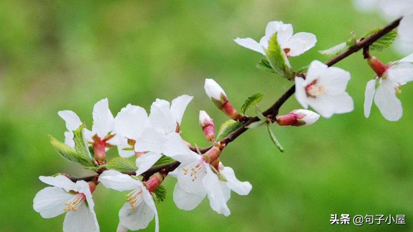 100个成语及历史人物,国人需要知晓的100个历史成语