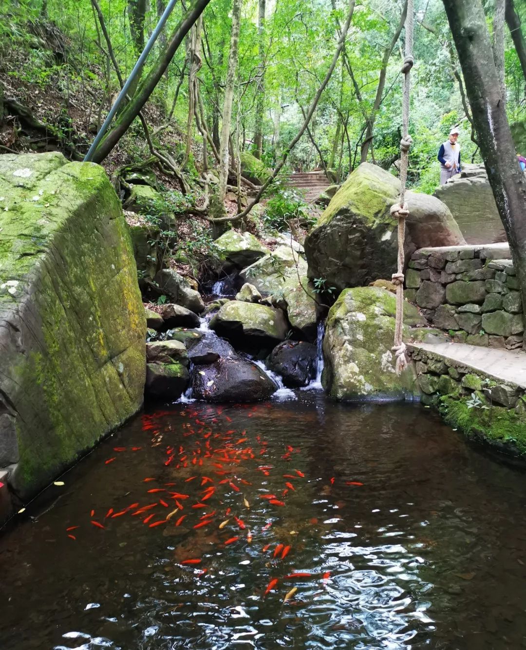 高考结束，暑期来袭，昆明青龙峡放“价”：凭准考证免费入园