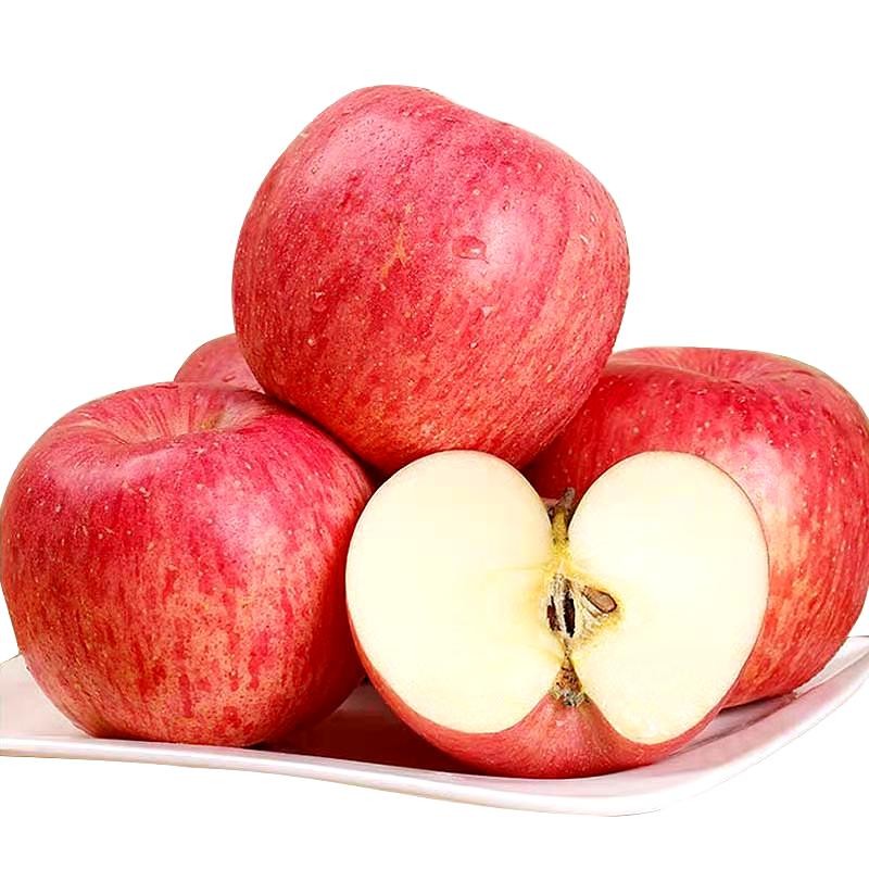 烟台红富士苹果为什么那么大,烟台红富士苹果