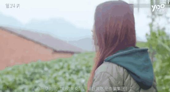 微信卖茶女套路有多深,卖茶女套路经典语录有哪些