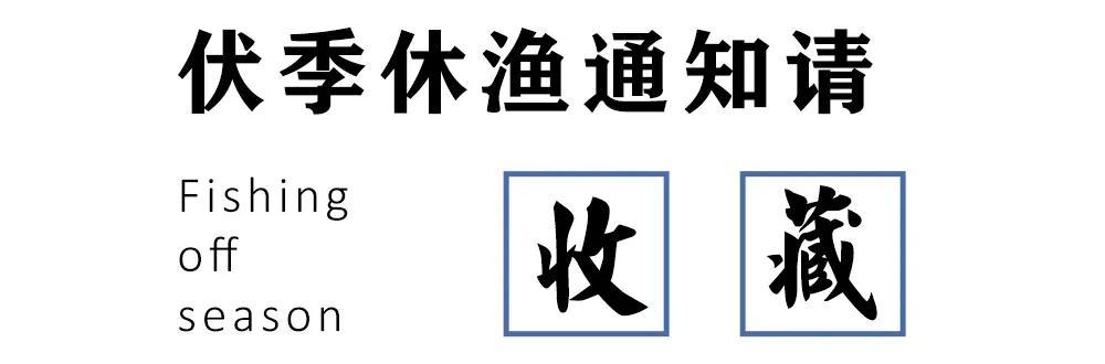 别“吃瓜”，吃海鲜！吃货们做好“时间管理”，封海将至！