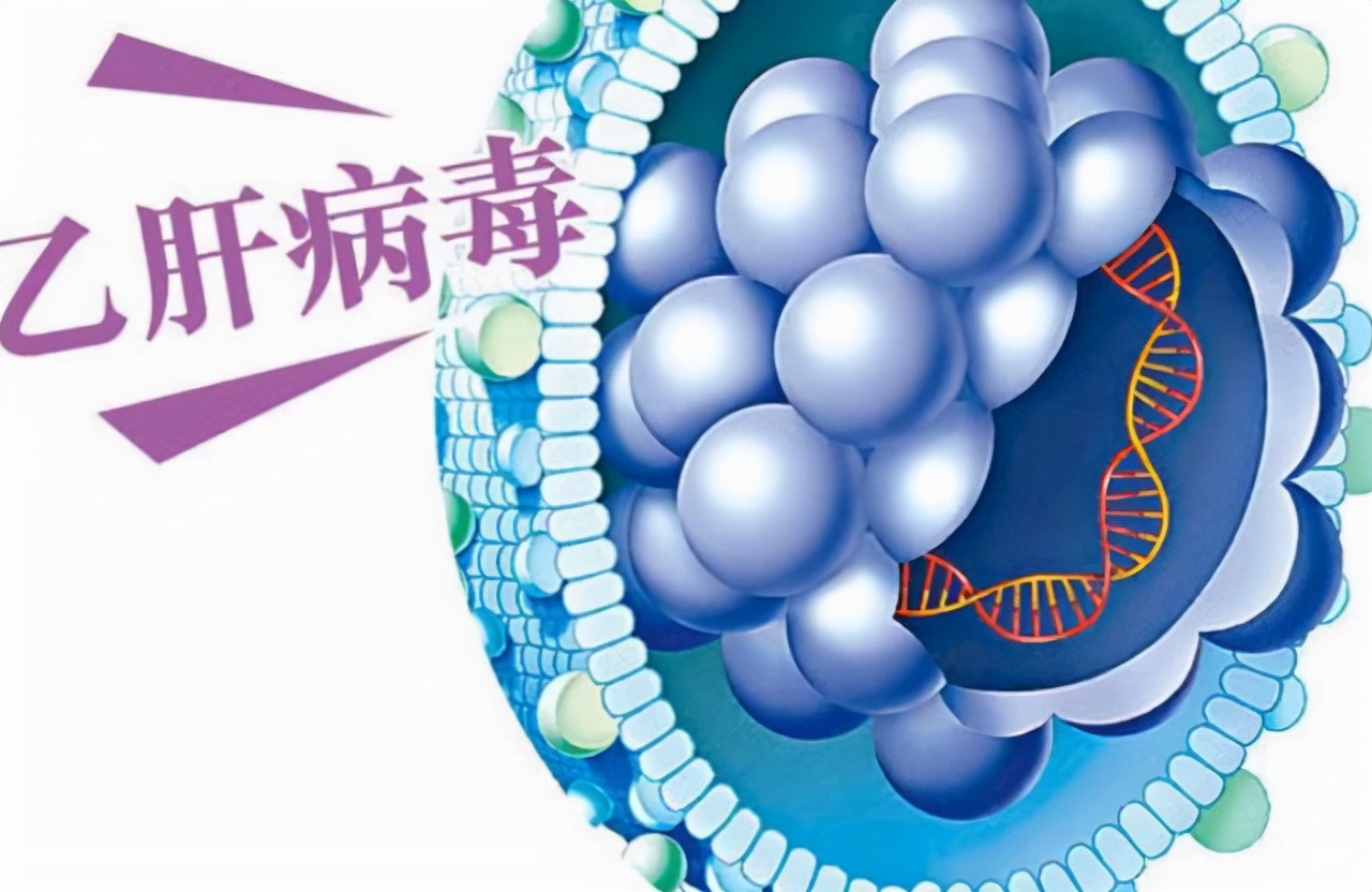 乙肝怎么才可以转阴,乙肝如何自然转阴