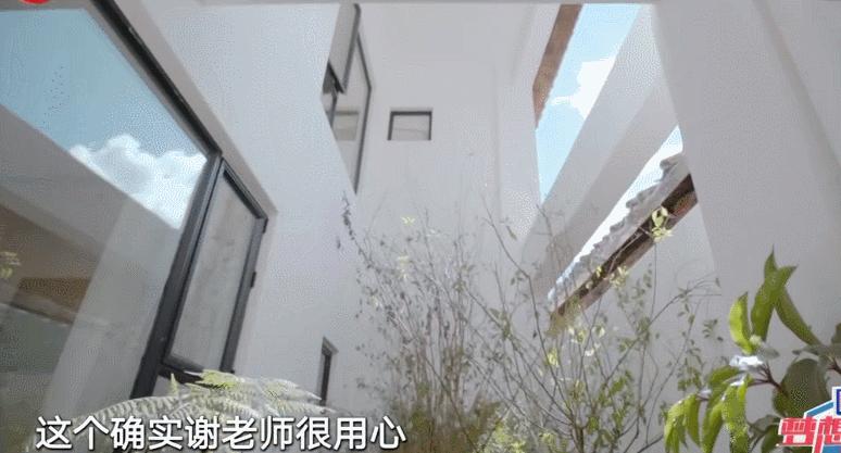 5位单身阿姨，抱团买房养老，520平189W装成山间别墅