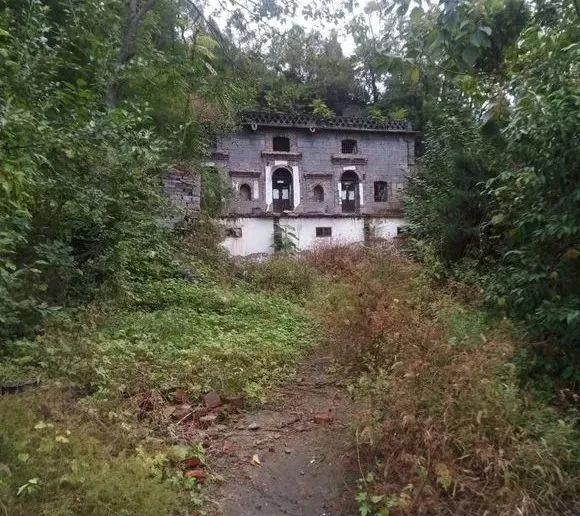 在隐居吧里，我看到了43万社畜的真实生活