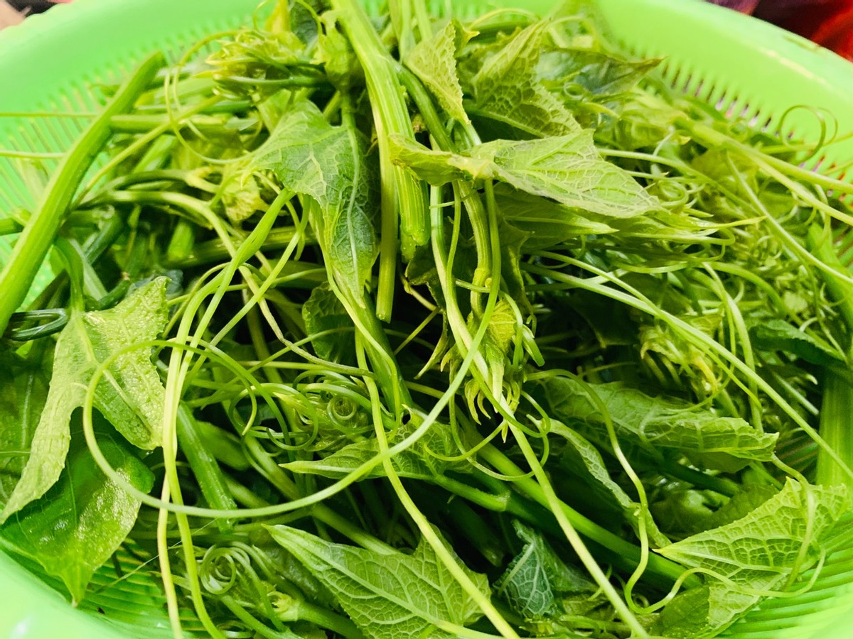 谷雨前，遇见这“瓜苗”多买点，5块钱买一大捆，爽口又下饭