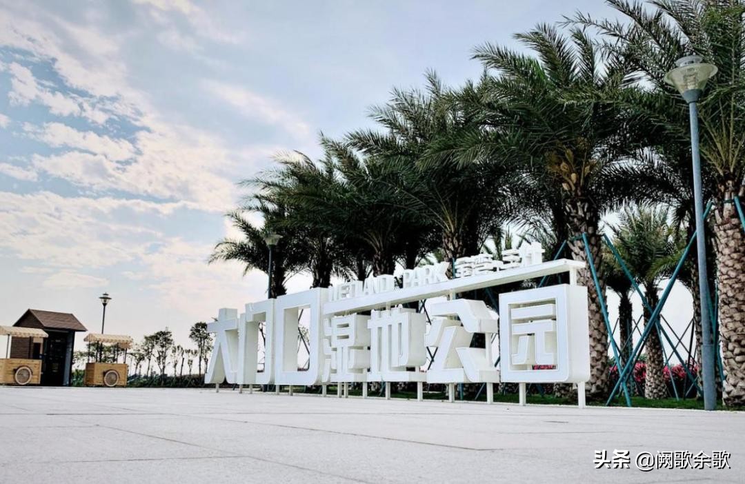 珠海公园森林风景,珠海公园美景视频