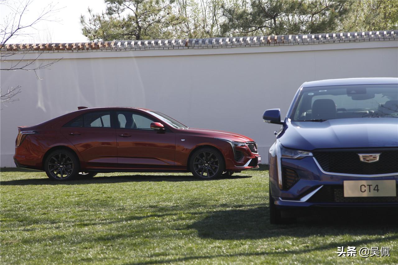 要是没有一颗纯粹的玩心，那还是离她远点吧