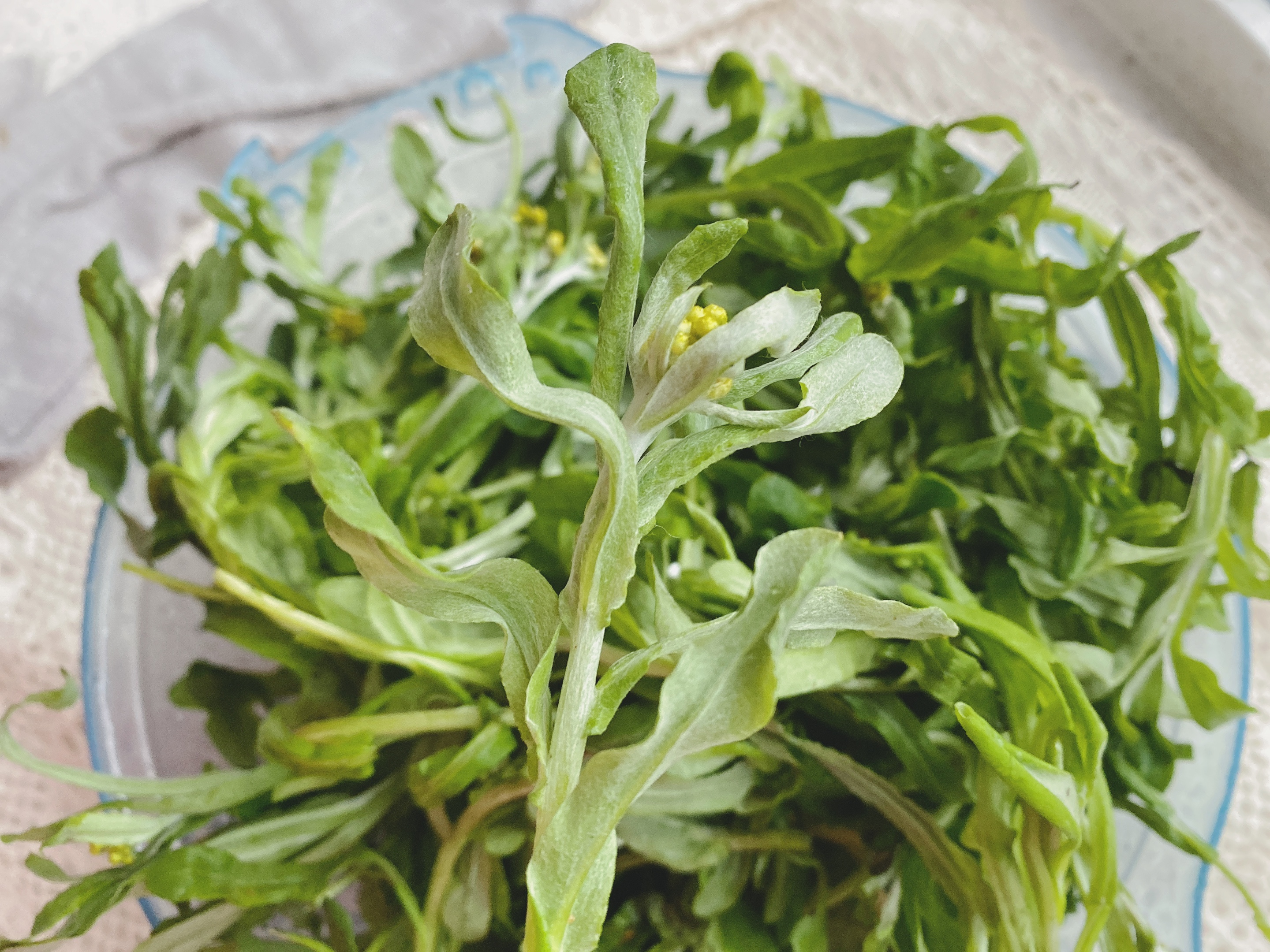 青团王者级吃法,青团怎么做才翠绿又q弹