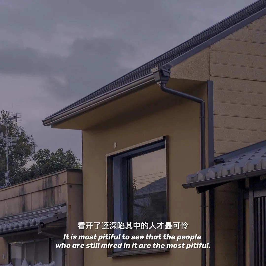 大自然治愈清新的背景图,文艺清新淡雅鲜花背景图