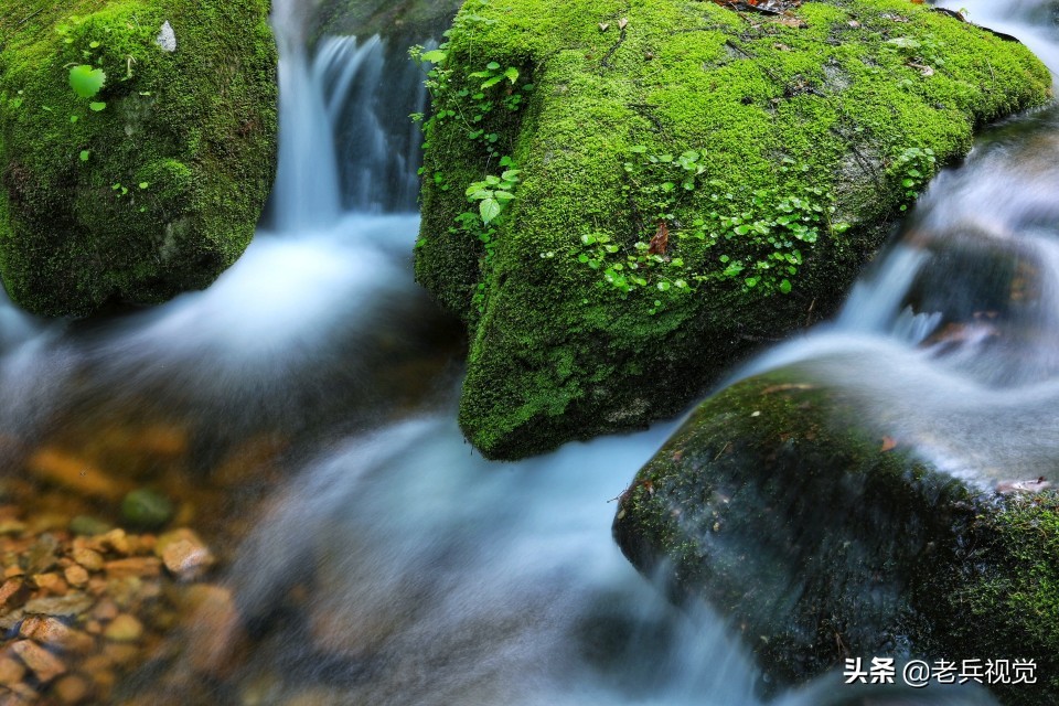 有一种旅行，叫去桓仁看绿