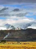 四川成都特产送人一览表,各地特产礼品一览表