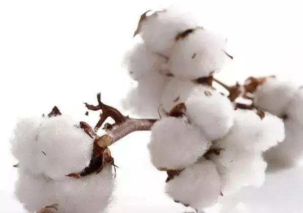 记住这5点选对姨妈巾,医生科普选错姨妈巾的危害