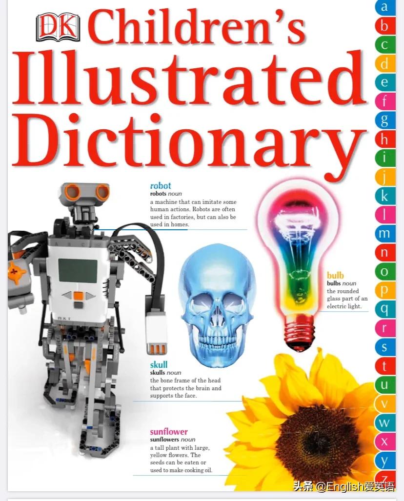 dk图书适合多大孩子,儿童英语字典图解