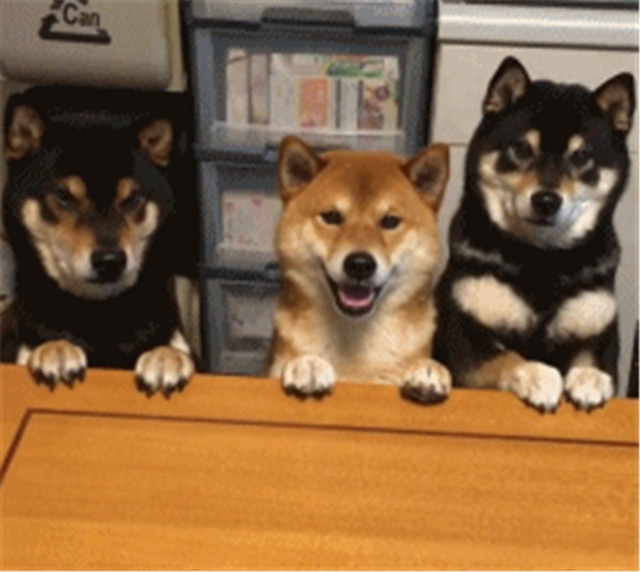 关于铂金和黄金应该知道的,黄金铂金基本知识