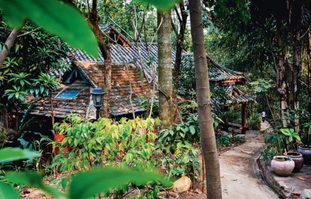 29岁不当记者，追随德国老公守护雨林，两女儿宛如天使，可不上学