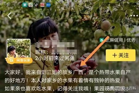 教你闲鱼项目日赚100元现金,手把手教你通过闲鱼副业兼职挣钱