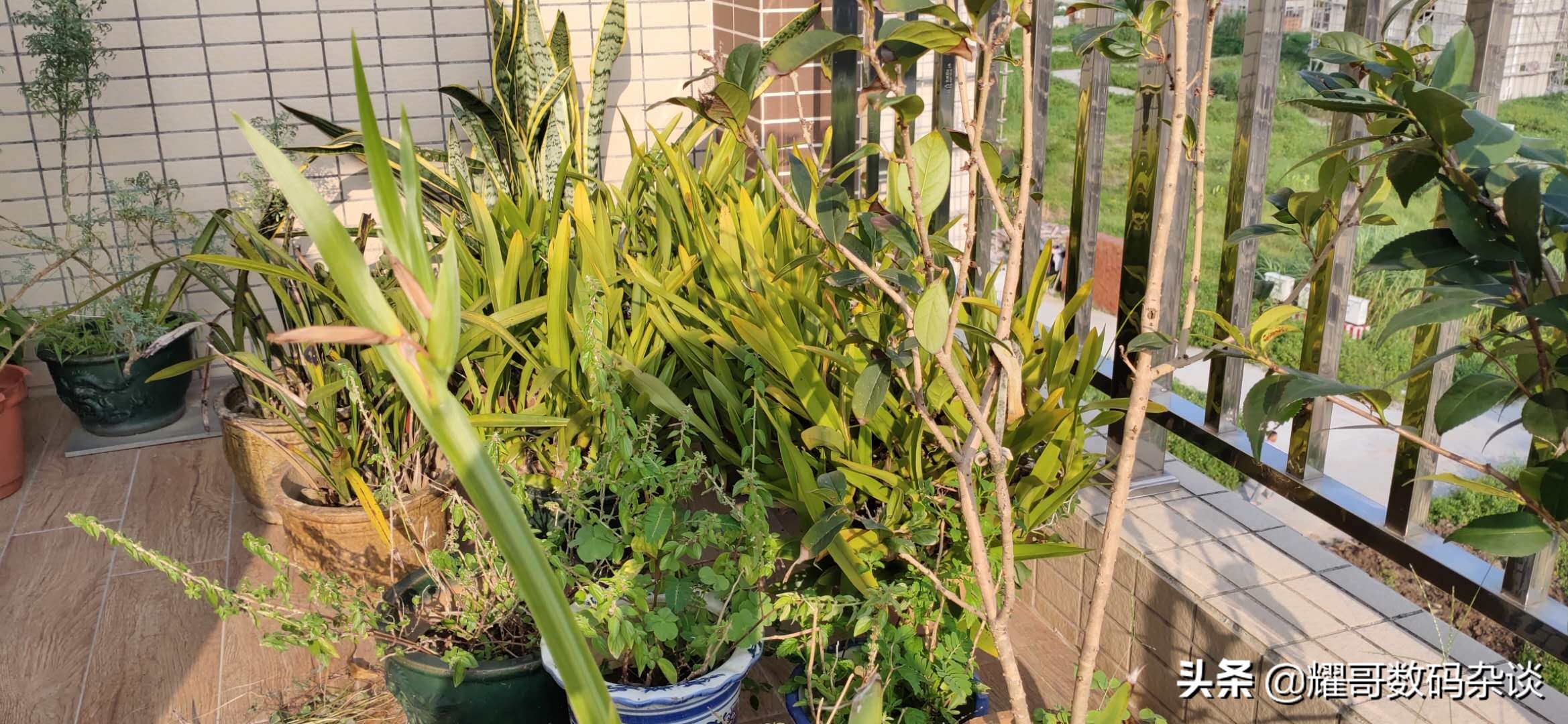 为什么买手机不推荐苹果,为什么买手机都不推荐苹果